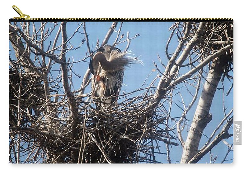 Blue Heron Zip Pouch featuring the photograph Great Blue Heron - 2 by David Bearden
