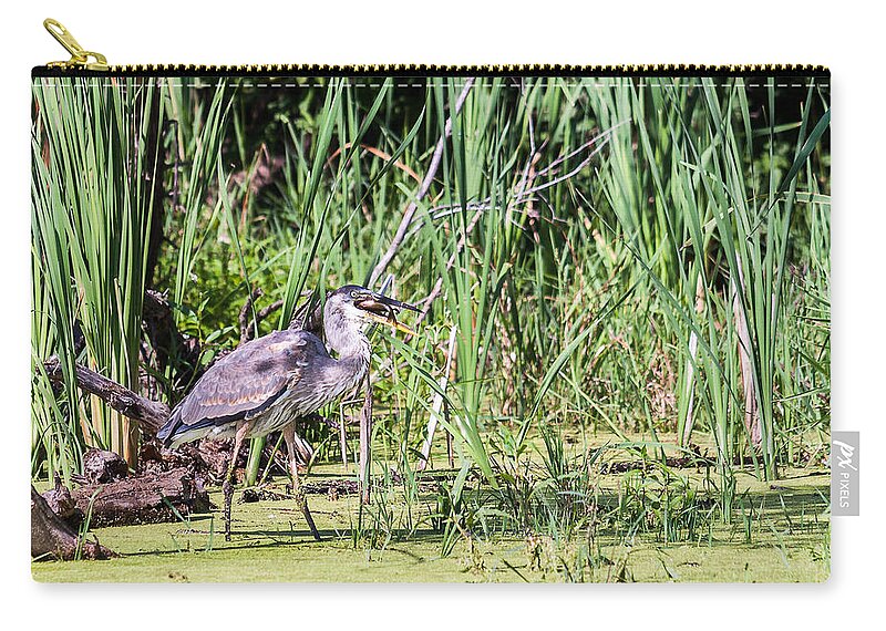 Great Blue Heron Zip Pouch featuring the photograph Great Blue Heron and Blue Gill by Ed Peterson