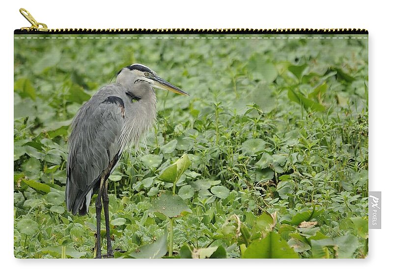 Great Blue Heron Zip Pouch featuring the photograph Great Blue Heron and Water Lilies by Bradford Martin