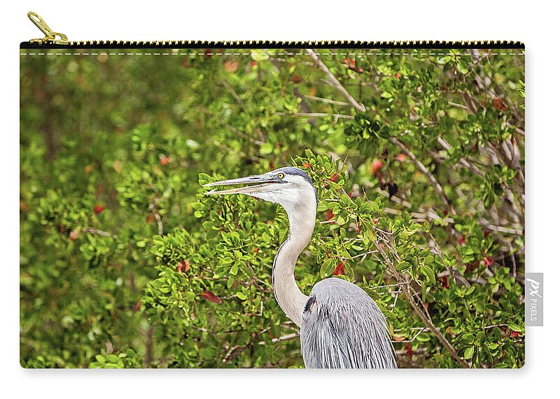 Great Blue Heron Zip Pouch featuring the photograph Great Blue Heron in the Mangroves by Scott Pellegrin