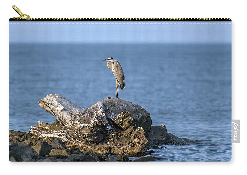 Great Blue Heron Zip Pouch featuring the photograph Great Blue Heron on Chesapeake Bay by Patrick Wolf