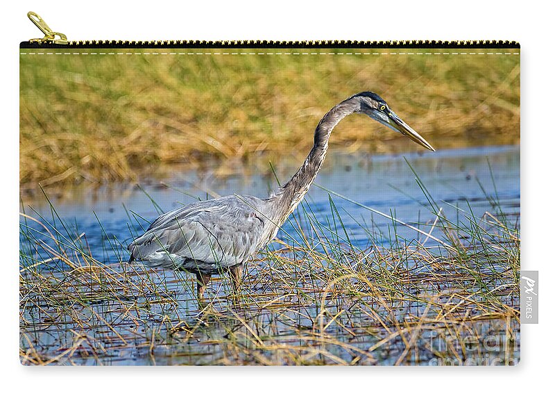 Herons Carry-all Pouch featuring the photograph Great Blue Heron On The Hunt by DB Hayes