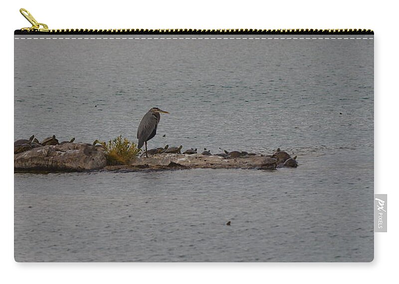 Great Zip Pouch featuring the photograph Great blue heron surrounded by tutles by James Smullins