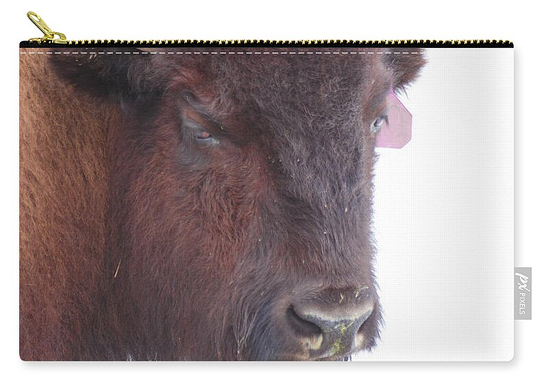 Mountains Zip Pouch featuring the photograph Great Buffalo by Sean Allen