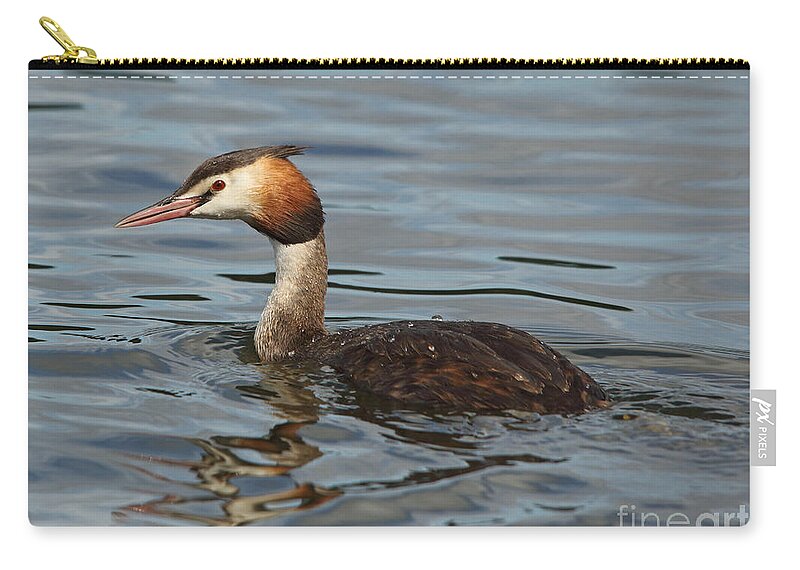 Great Crested Grebe Zip Pouch featuring the photograph Great Crested Grebe by Maria Gaellman