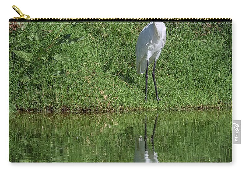 Great Zip Pouch featuring the photograph Great Egret 5623-040918-3 by Tam Ryan