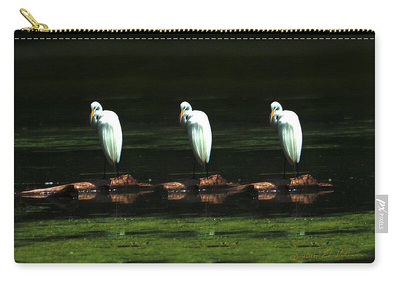 Great Egret Zip Pouch featuring the photograph Great Egret Art II by Ed Peterson