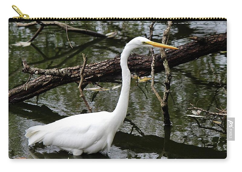 Ardea Alba Zip Pouch featuring the photograph Great Egret by David Pickett