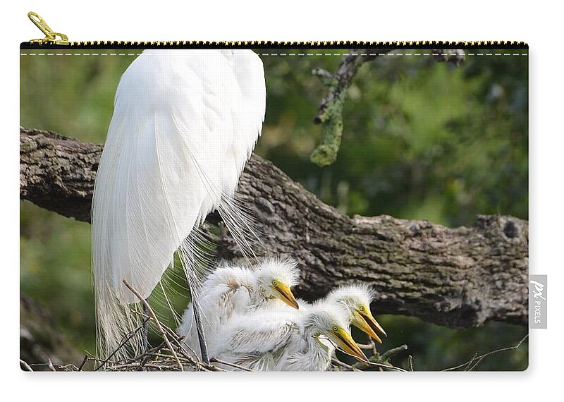St. Augustine Zip Pouch featuring the photograph Great Egret Family by Richard Bryce and Family