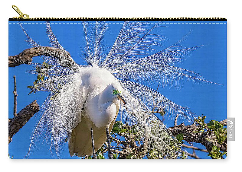 Egrets Carry-all Pouch featuring the photograph Great Egret In Breeding Plumage by DB Hayes