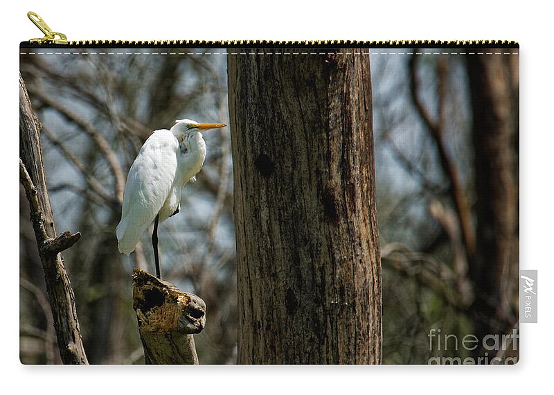 Great Egret Zip Pouch featuring the photograph Great Egret by Paul Mashburn