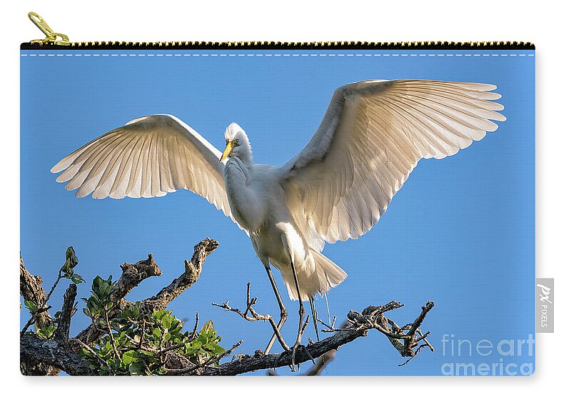 Egrets Zip Pouch featuring the photograph Perfect Landing by DB Hayes