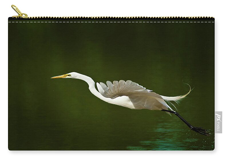 Great Egret Zip Pouch featuring the photograph Great Egret Takeoff by Onyonet Photo studios