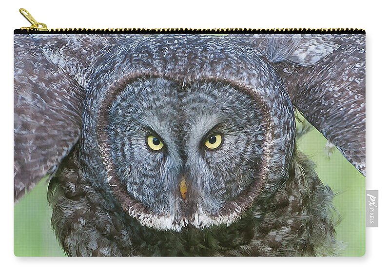 Mark Miller Photos Zip Pouch featuring the photograph Great Gray Owl Flight Portrait by Mark Miller