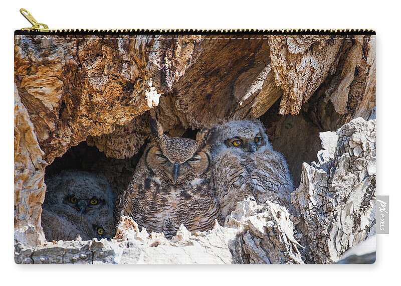 Great Horned Owl Zip Pouch featuring the photograph Great Great Horned Owl Mother by Mindy Musick King