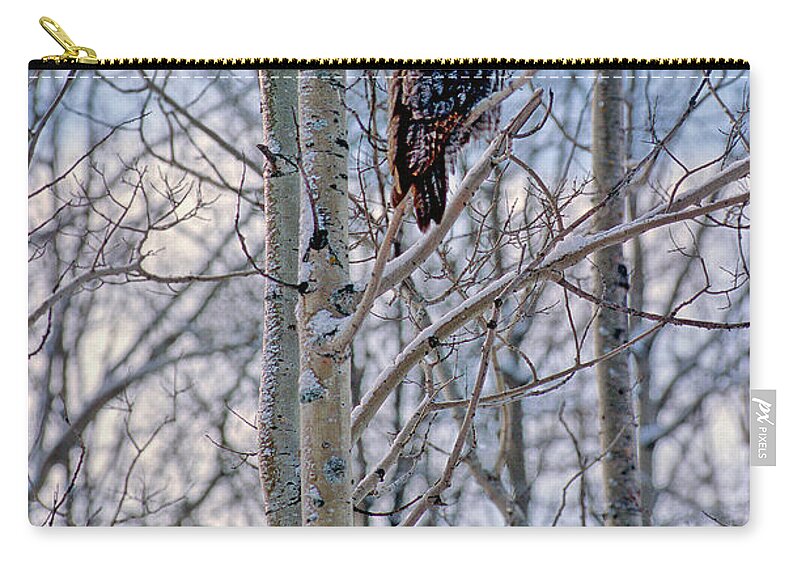 Canada Zip Pouch featuring the photograph Great Grey Owl by Doug Gibbons