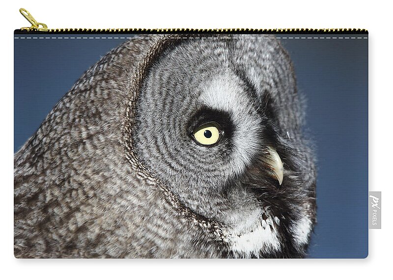 Great Grey Owl Zip Pouch featuring the photograph Great Grey Owl by Maria Gaellman