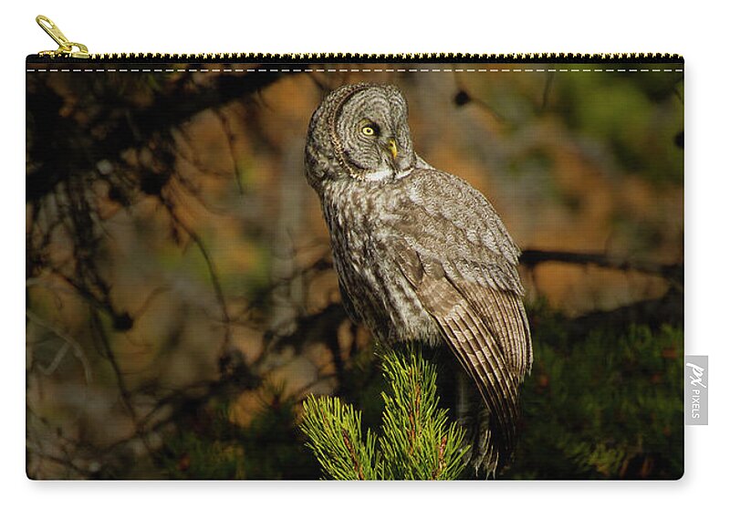 Owl Zip Pouch featuring the photograph Great Grey Owl-Signed-#4102 by J L Woody Wooden