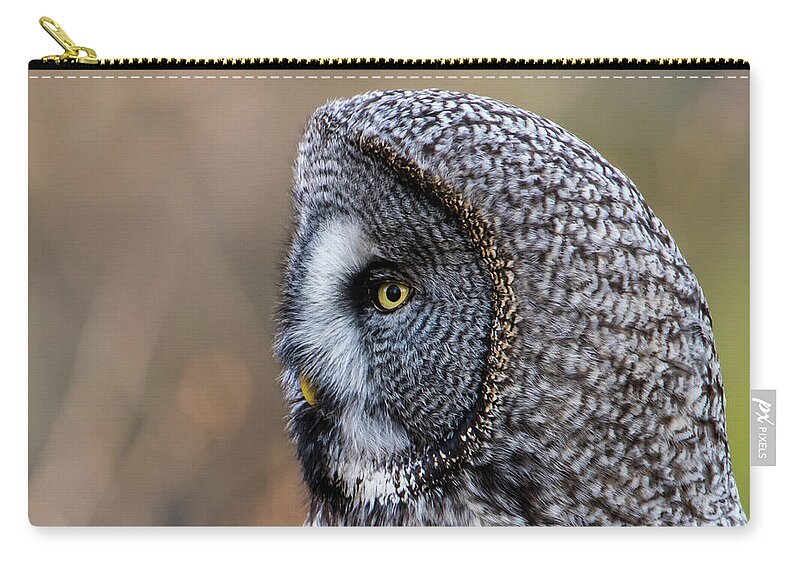 Great Greys Profile Zip Pouch featuring the photograph Great Grey's Profile a closeup by Torbjorn Swenelius