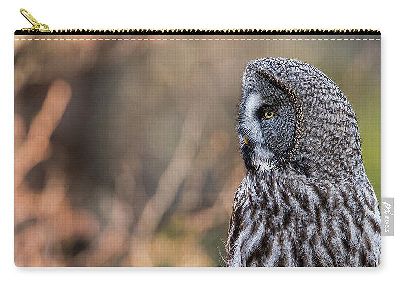 Great Greys Profile Zip Pouch featuring the photograph Great Grey's Profile by Torbjorn Swenelius