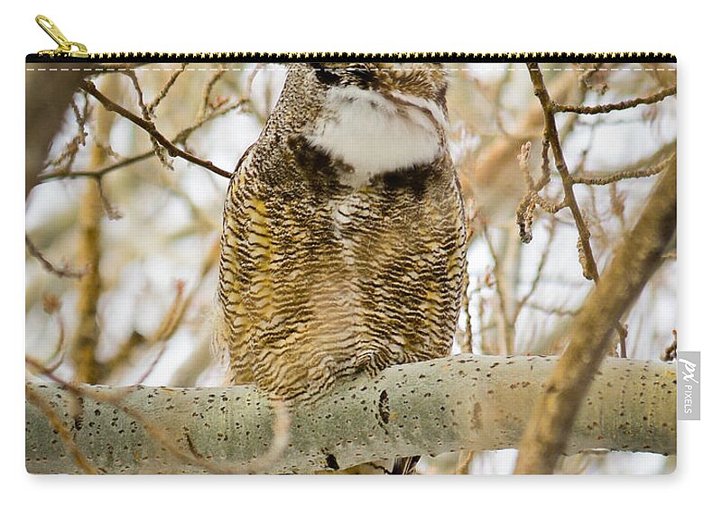 Great Horned Owl Zip Pouch featuring the photograph Great Horned Owl by Greg Norrell