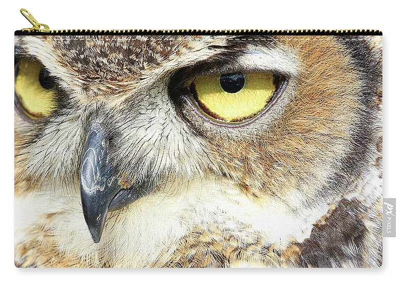 Great Horned Owl Zip Pouch featuring the photograph Great Horned Owl Up Close by Steve McKinzie