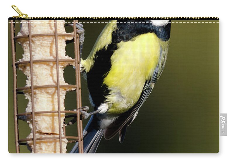 Great Tit Zip Pouch featuring the photograph Great tit on feeder by Steev Stamford