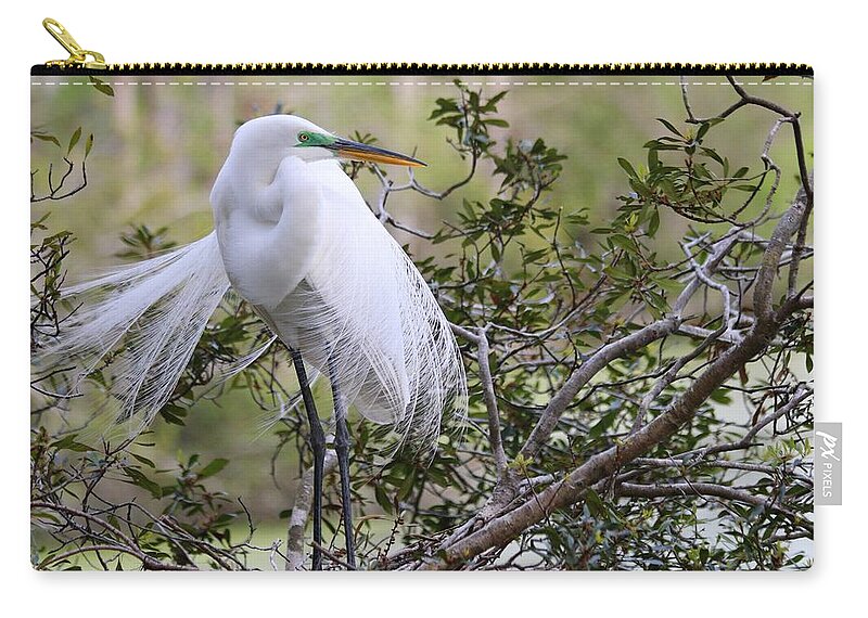 Carol R Montoya Carry-all Pouch featuring the photograph Great White Egret by Carol Montoya