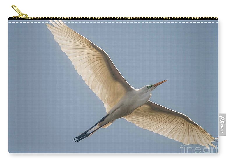 White Egret Zip Pouch featuring the photograph Great White Egret by David Bearden