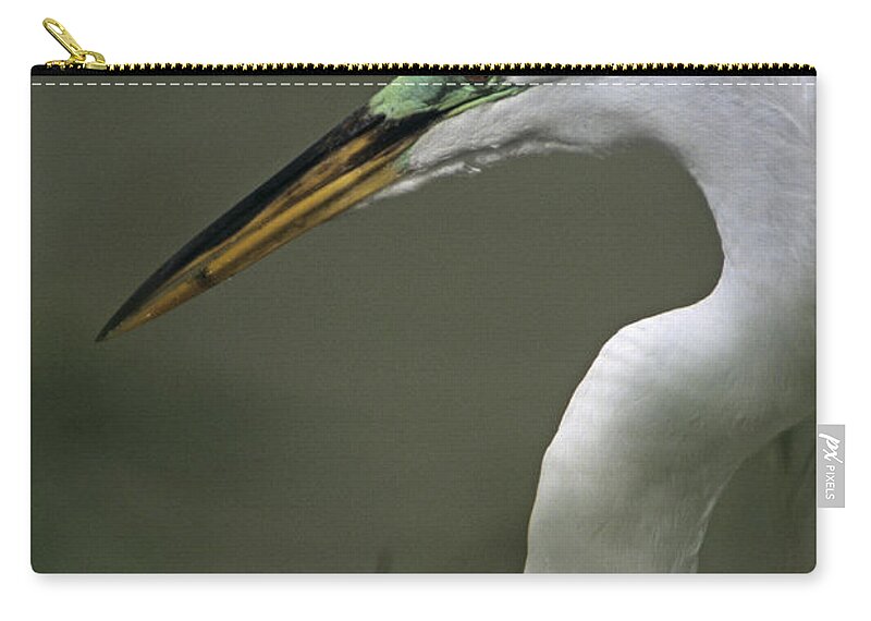 Wading Bird Zip Pouch featuring the photograph Great White Egret in Breeding Plumage Headshot by John Harmon