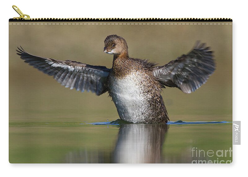 Grebe Zip Pouch featuring the photograph Grebe flap by Bryan Keil