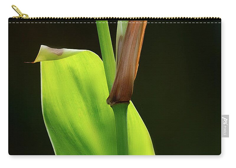 Leaf Zip Pouch featuring the photograph Green by Alexander Fedin
