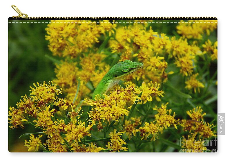 Green Anole Zip Pouch featuring the photograph Green Anole hiding in Golden rod by Barbara Bowen