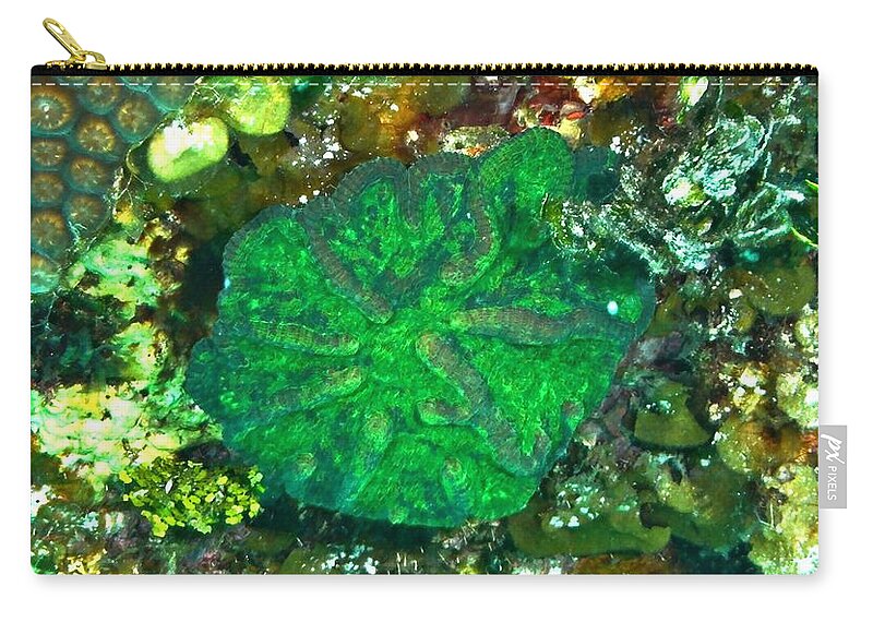 Artichoke Zip Pouch featuring the photograph Green Artichoke Coral by Amy McDaniel