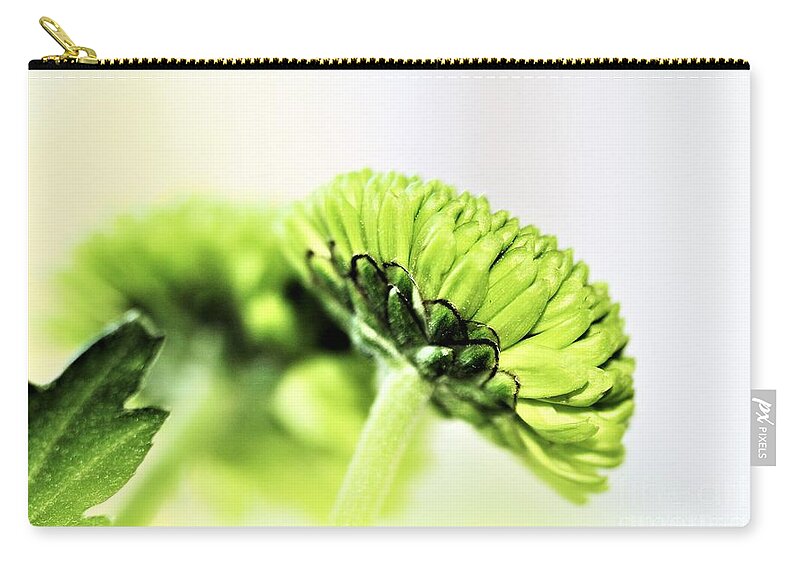 Chrysanthemum Zip Pouch featuring the photograph Green Button Chrysanthemum by Tracey Lee Cassin