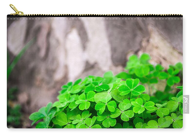 Abstract Zip Pouch featuring the photograph Green Clover and Grey Tree by John Williams