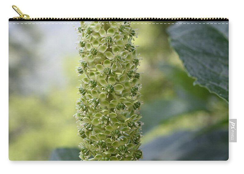 Floral Zip Pouch featuring the photograph Green flower by Sumit Mehndiratta