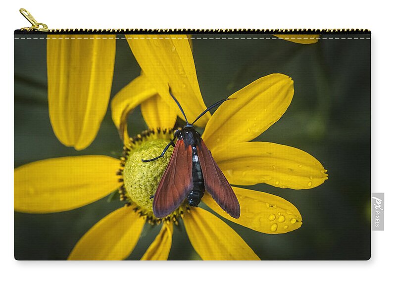 Echinacea Zip Pouch featuring the photograph Green Headed Coneflower Moth by Rich Franco