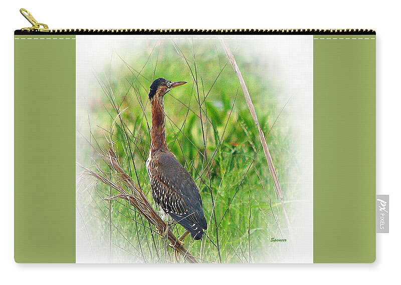 Wildlife Zip Pouch featuring the photograph Green on Green by T Guy Spencer