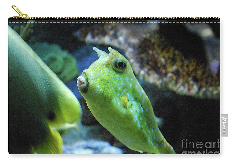 Longhorn-cowfish Zip Pouch featuring the photograph Green Hue to a Longhorn Cowfish in the Ocean by DejaVu Designs