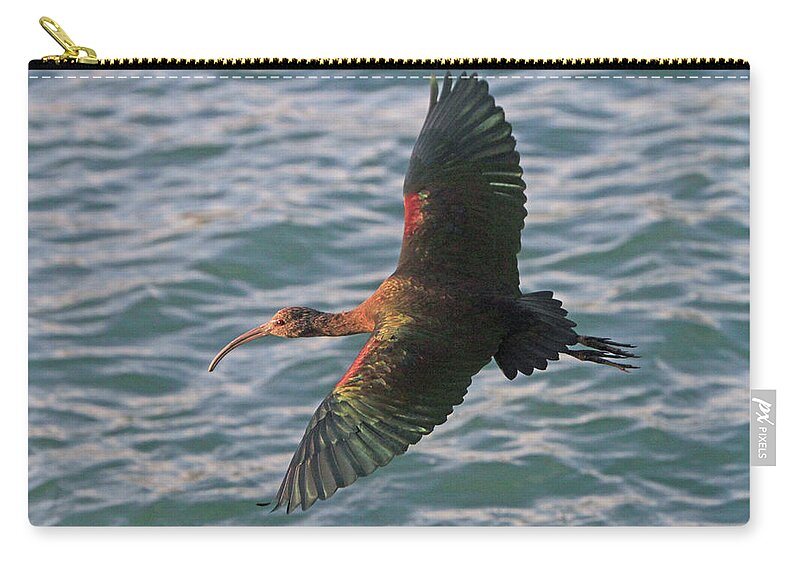 Ibis Zip Pouch featuring the photograph Green Ibis 6 by Shoal Hollingsworth