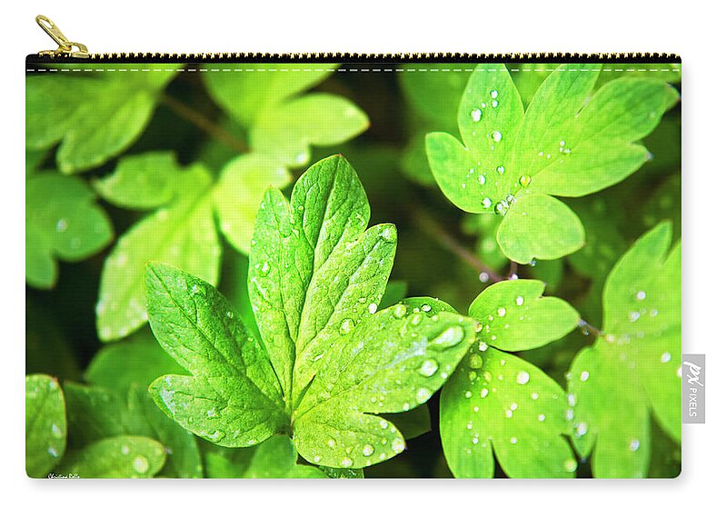 Green Leaves Zip Pouch featuring the photograph Green Leaves by Christina Rollo