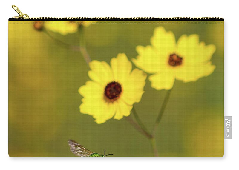 Bee Zip Pouch featuring the photograph Green Metallic Bee by Paul Rebmann