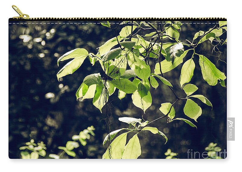 Foliage Zip Pouch featuring the photograph Green Mood 2 by Andrea Anderegg