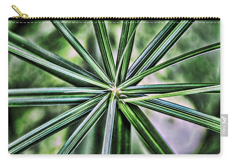 Abstract Zip Pouch featuring the photograph Green Plant Abstract by Sharon McConnell