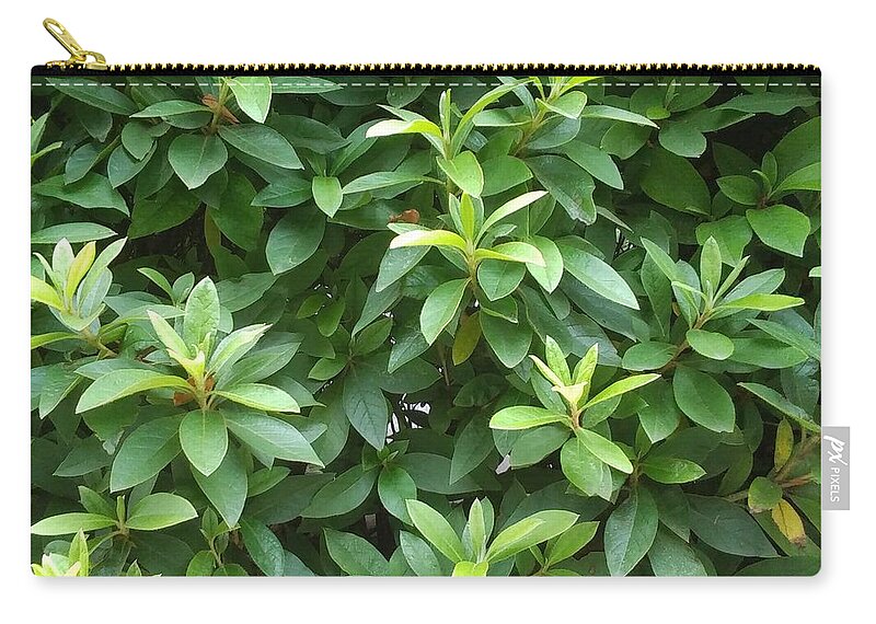 #leaf Zip Pouch featuring the photograph Green by Sari Kurazusi