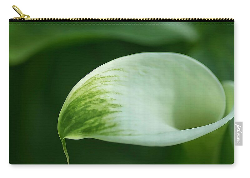Photography Art Zip Pouch featuring the photograph Green with Envy by Kathleen Messmer