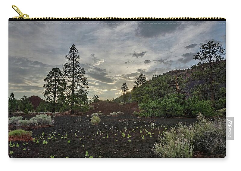 Arizona Zip Pouch featuring the photograph Greet the day by Gaelyn Olmsted