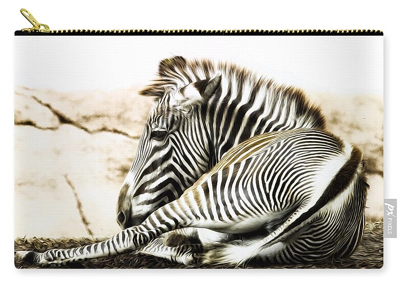 Zebra Zip Pouch featuring the photograph Grevy's Zebra by Bill and Linda Tiepelman