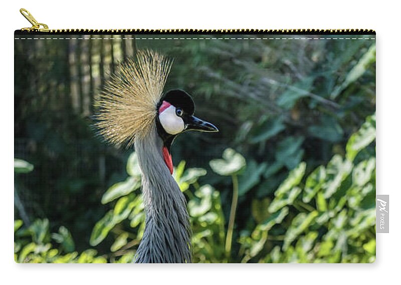 Gulf Zip Pouch featuring the photograph Grey Crowned Crane Gulf Shores Al 2023 by Ricardos Creations